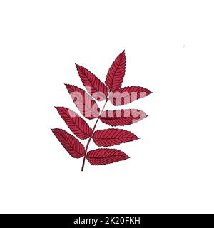 Illustration d'aquarelle à main levée de feuilles d'automne rouges Banque D'Images