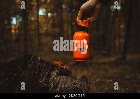 Halloween décoration dans la forêt. Symboles des vacances d'automne : lampe, citrouille-lanterne, bougies, feuilles colorées, obscurité. Banque D'Images