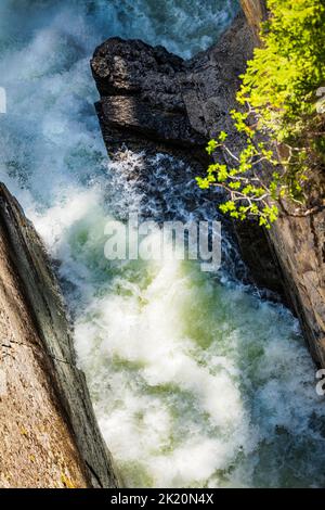 Chutes Sunwapta; parc national Jasper; Alberta; Canada Banque D'Images