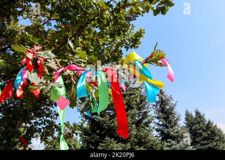 rubans colorés liés à une branche d'arbre. le rituel. Banque D'Images