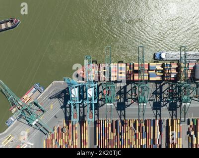 Antwerpen, 9th août 2022, Belgique. Le port d'Anvers le plus grand port maritime de Belgique le deuxième plus grand port d'Europe après Rotterdam. Industriel Banque D'Images