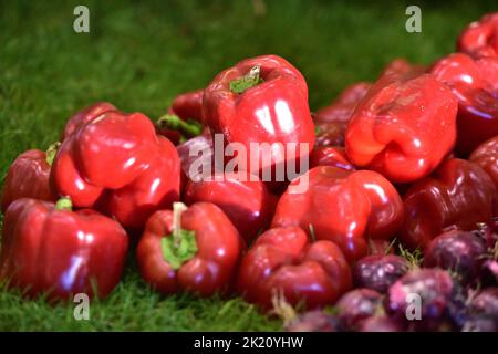 Décoration avec différents types de légumes dans un salon de jardin en Autriche Banque D'Images