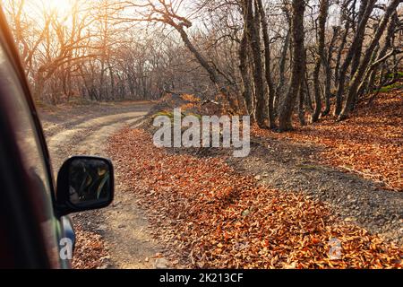 Vue latérale arrière de la voiture de vus conduire sur la belle terre de gravier forêt non pavée route dans le feuillage d'automne et la lumière vive et chaude de la lumière du soleil à travers les bois Banque D'Images