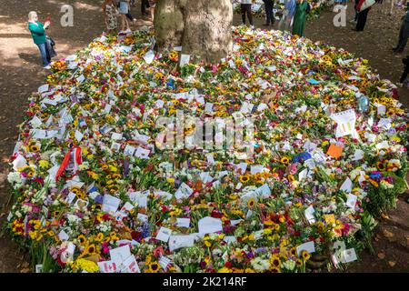 Les gens continuent de présenter des fleurs pour rendre hommage à la reine Elizabeth II La nation continue de pleurer pour sa mort jeudi dernier. Prise de vue Banque D'Images