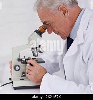 Consacré à sa vie en tant que scientifique. Un scientifique mature utilisant un microscope. Banque D'Images