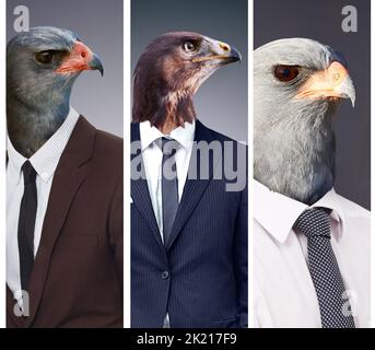 Les oiseaux d'une plume se rassemblent. Image conceptuelle des têtes d'animaux sur les hommes d'affaires Banque D'Images