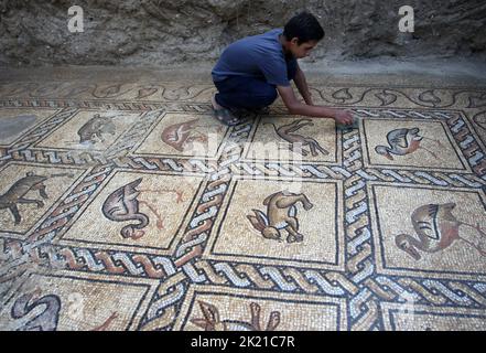 Camp Al Bureij, Gaza. 21st septembre 2022. Ahmad al-Nabahin nettoie un sol en mosaïque qu'il a découvert dans sa ferme et qui remonte à l'ère byzantine, selon les responsables, dans le camp d'Al-Bureij, dans le centre de la bande de Gaza, mercredi 21 septembre 2022. Le ministère palestinien du Tourisme et des Antiquités a annoncé la découverte de la mosaïque, qui sera protégée et un projet d'excavation commencera à Dès que possible. Photo par Ismael Mohamad/UPI crédit: UPI/Alay Live News Banque D'Images