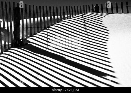 Sandy Reflections, parc national de Cape Henloopen, Delaware États-Unis, Delaware Banque D'Images