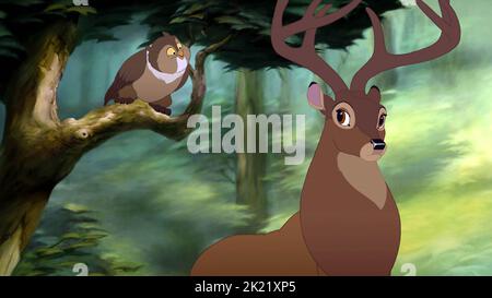 Ami d'Amérique, le père de Bambi, BAMBI II, 2006 Banque D'Images