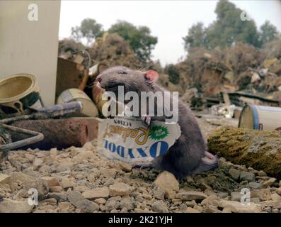 TEMPLETON, CHARLOTTE'S WEB, 2006 Banque D'Images