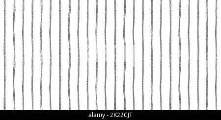 Pen and ink doodle vertical pin stripes seamless pattern. Hand drawn crosshatch illustration with pinstripe motif. Trendy doodle dash contemporary urb Stock Photo