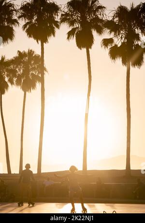 Photo verticale d'un coucher de soleil jaune sur la plage de Venise avec silhouettes de palmiers Banque D'Images