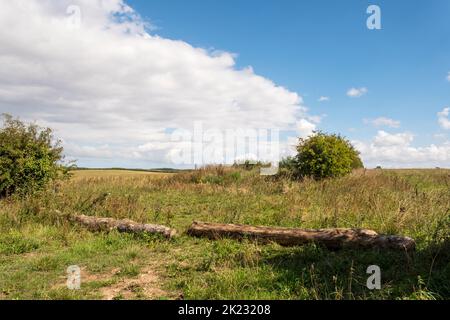 Des bûches bloquant une entrée dans le champ de Norfolk afin d'éviter toute utilisation non désirée par les véhicules tout-terrain et les joy riders. Banque D'Images