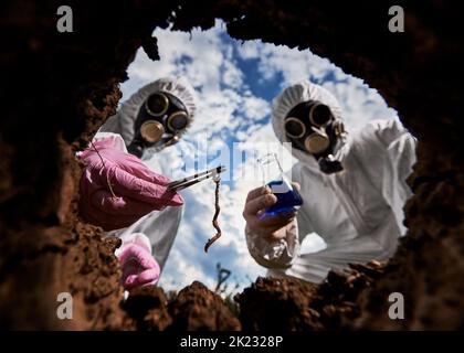 Vue de l'intérieur de la fosse des chercheurs dans les combinaisons de protection et les masques à gaz étudiant le sol et ses habitants. Un assistant de laboratoire tenant une pince à épiler avec un ver de sol, l'autre flacon en verre avec un liquide. Banque D'Images