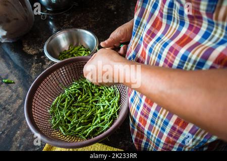 An Indian Man processing green pigeon pea vegetable in the kitchen. Uttarakhand India Stock Photo