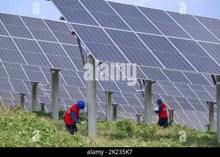 YANTAI, CHINE - le 22 SEPTEMBRE 2022 - les travailleurs de l'électricité inspectent le matériel à la ferme photovoltaïque complémentaire de 112 mégawatts de Jingneng International Banque D'Images