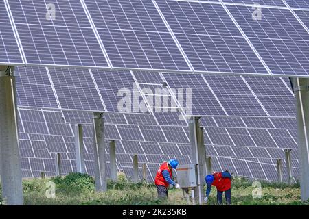 YANTAI, CHINE - le 22 SEPTEMBRE 2022 - les travailleurs de l'électricité inspectent le matériel à la ferme photovoltaïque complémentaire de 112 mégawatts de Jingneng International Banque D'Images