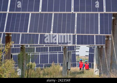 YANTAI, CHINE - le 22 SEPTEMBRE 2022 - les travailleurs de l'électricité inspectent le matériel à la ferme photovoltaïque complémentaire de 112 mégawatts de Jingneng International Banque D'Images