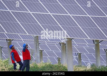 YANTAI, CHINE - le 22 SEPTEMBRE 2022 - les travailleurs de l'électricité inspectent le matériel à la ferme photovoltaïque complémentaire de 112 mégawatts de Jingneng International Banque D'Images