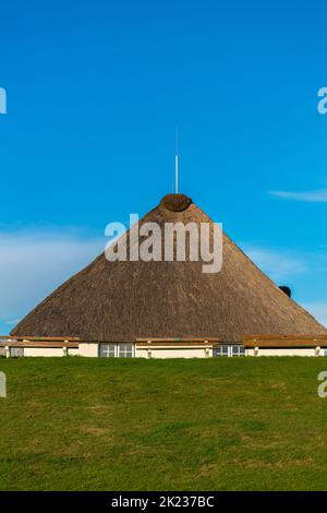 Hamburger Hallig partiellement inondé, petit îlot de la mer du Nord, Reußenköge, Frise du Nord, Schleswig-Holstein, Allemagne du Nord Banque D'Images