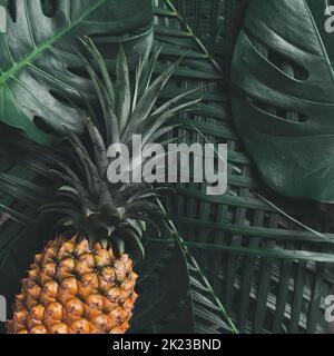 Vue de dessus de l'ananas frais sur les feuilles tropicales de monstère et les feuilles de plam arrière-plan. Banque D'Images