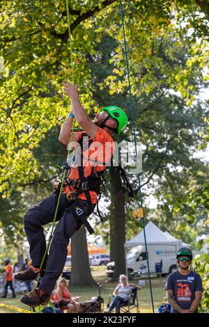 Detroit, Michigan - les arboristes professionnels participent au championnat d'escalade de Michigan Tree. Banque D'Images