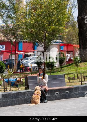 La Paz, Bolivie - 11 septembre 2022 : une jeune fille bolivienne mangeant une empanada avec quelques chiens sur la place principale de Miraflores Banque D'Images