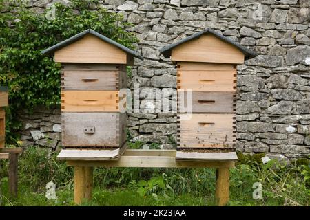 Ruches d'abeilles en Angleterre, Royaume-Uni Banque D'Images