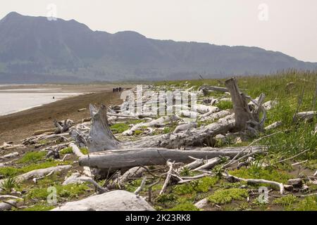 Transport aérien du parc national de Katmai à Homer, Alaska Banque D'Images