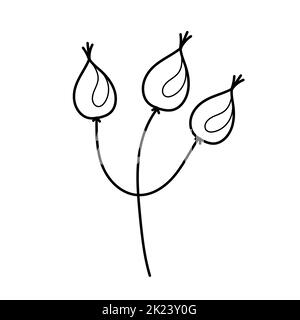 Hanches roses isolées sur fond blanc. Illustration vectorielle dessinée à la main dans un style de dessin animé. Contour, livre de coloriage. Pour vos cartes, logo, décorations. Illustration de Vecteur