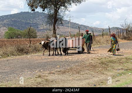 Kenya, countryside - October 28, 2017: local shepherds in the kenyan countryside Stock Photo