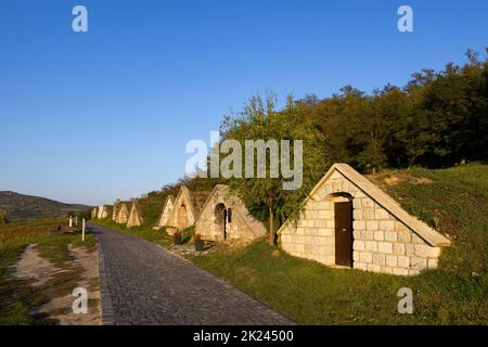 Pincesor Gombos-hegyi d'automne à Hercegkut, site de l'UNESCO, Grande plaine, Hongrie du Nord Banque D'Images