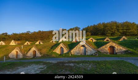 Pincesor Gombos-hegyi d'automne à Hercegkut, site de l'UNESCO, Grande plaine, Hongrie du Nord Banque D'Images