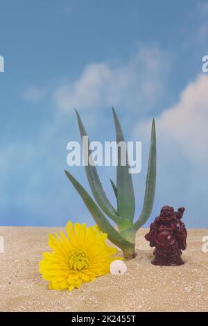 Plante d'aloès sur sable avec statue de Bouddha et fleur jaune Banque D'Images