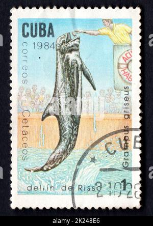 CUBA - VERS 1984 : un timbre imprimé à Cuba à partir du numéro des baleines et des dauphins montre un dauphin tacheté, vers 1984. Mammifères marins. Ocean delfin imagé sur le postag Banque D'Images