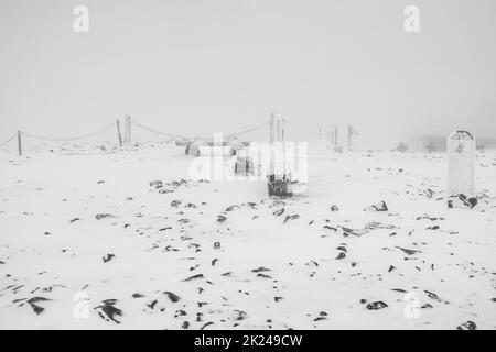 Bancs en bois gelés recouverts de givre.Paysage d'hiver.Noir et blanc. Banque D'Images