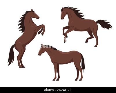 Ensemble de chevaux bruns. Illustration vectorielle ensemble dessin animé beaux chevaux dans différentes poses isolées sur blanc. Vue latérale, conception plate. Illustration de Vecteur