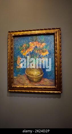 Paris, France - 30 décembre 2021 : peinture de Vincent van Gogh au Musée d'Orsay à Paris, France. Banque D'Images