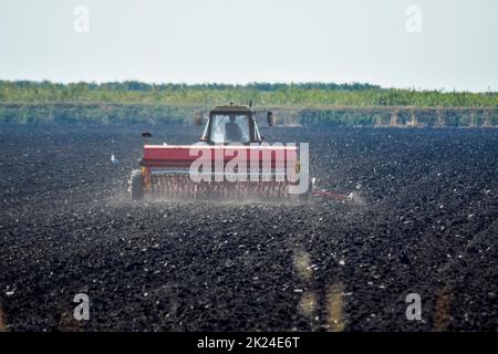 Le tracteur. Les machines agricoles tracteur. Tracteur avec un semoir sur le terrain. Semer des graines dans le sol. Banque D'Images