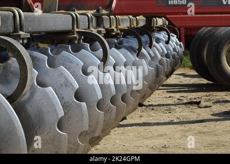 La herse du disque. Les machines agricoles pour le traitement du sol sur le terrain. Banque D'Images