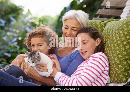 La féline familiale. Une femme et ses petits-enfants petant un chat tout en se relaxant dans la cour Banque D'Images