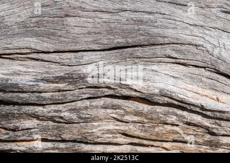 Fond de bois gris rustique avec effet structurel. Banque D'Images