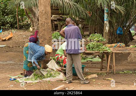 Des hommes africains dans la campagne tanzanienne. Banque D'Images