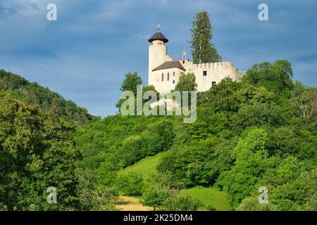 Château de Birseck près d'Arlesheim, pays de Bâle, Suisse. Le ciel est encore nuageux, mais le soleil brille. Banque D'Images