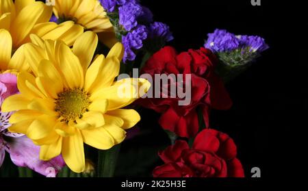 Bouquet de fleurs colorées sur fond noir gros plan Banque D'Images
