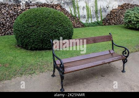 Banc humide en bois dans le parc après la pluie Banque D'Images