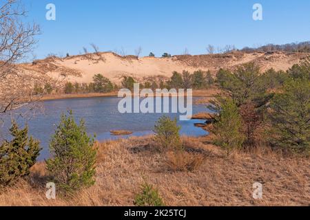 Petit marais caché dans les dunes Banque D'Images