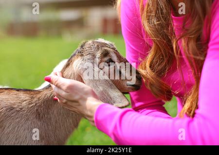 Jeune femme en rose bébé marron pour enfants kid goat. Seuls ses cheveux et les mains visibles. Banque D'Images