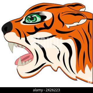 Tête sauvage animal raveeux tigre dans le profil Banque D'Images