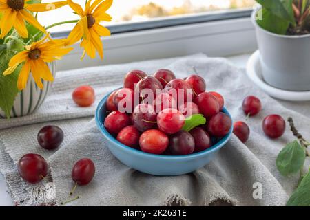 Prunes rouges mûres dans une plaque en céramique bleue Banque D'Images